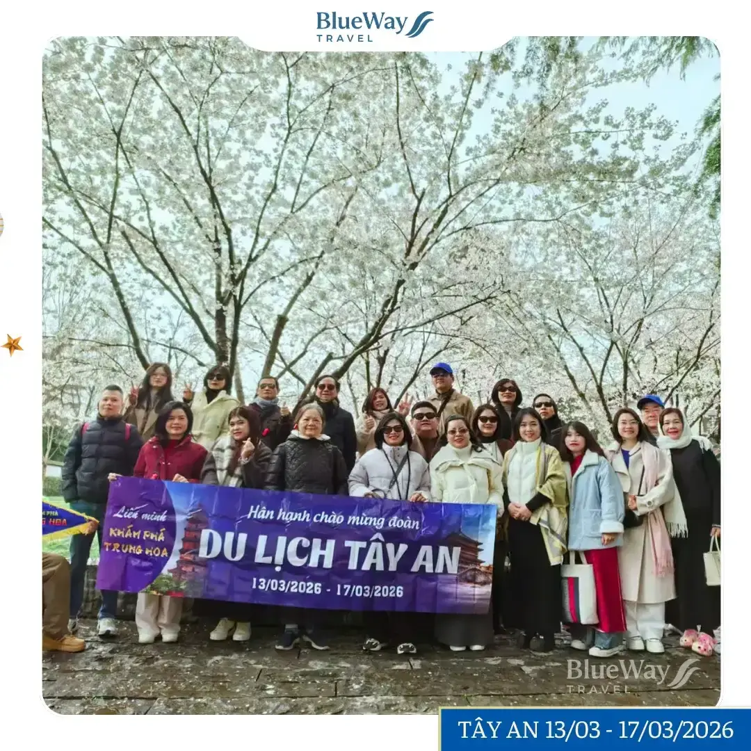 [GÓC FEEDBACK] Đoàn Khách Tham Quan Tây An Mono Bay Thẳng No Shopping 5 Ngày 4 Đêm | 13/03 – 17/03/2026 | Blueway Travel