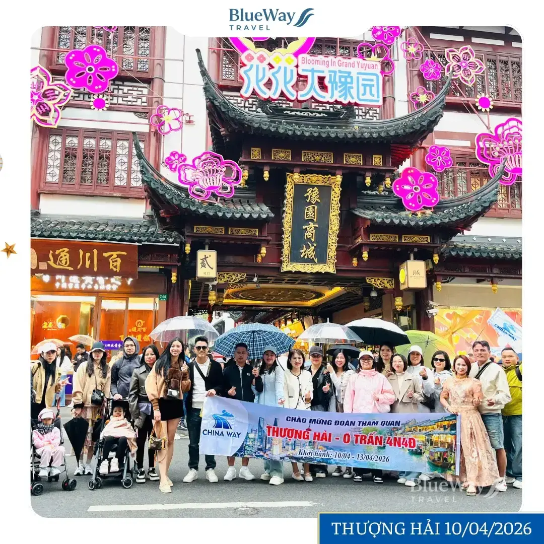 [GÓC FEEDBACK] Đoàn Khách Tham Quan Thượng Hải – Tây Ô Trấn No Shopping 4 Ngày 4 Đêm | 10 – 13/04/2026 | Blueway Travel