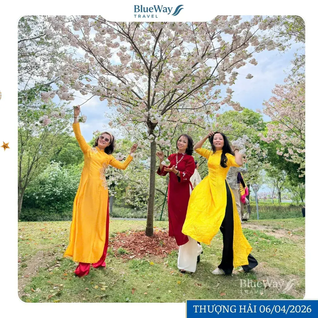 669026771_1420891023060464_6277383760447370254_n