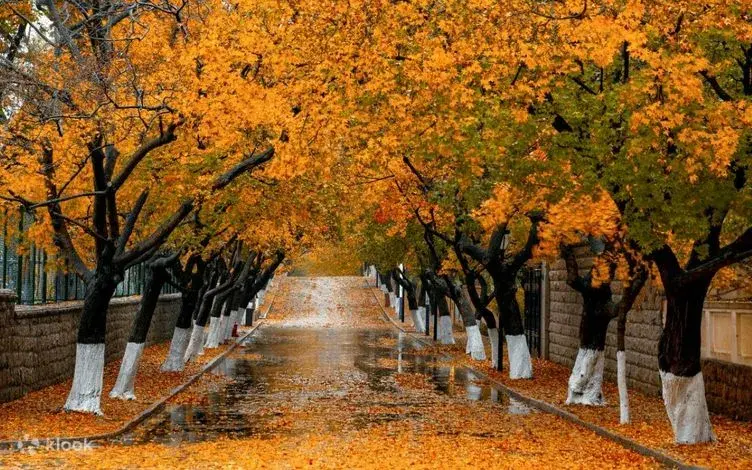 bat-dai-quan-thanh-dao