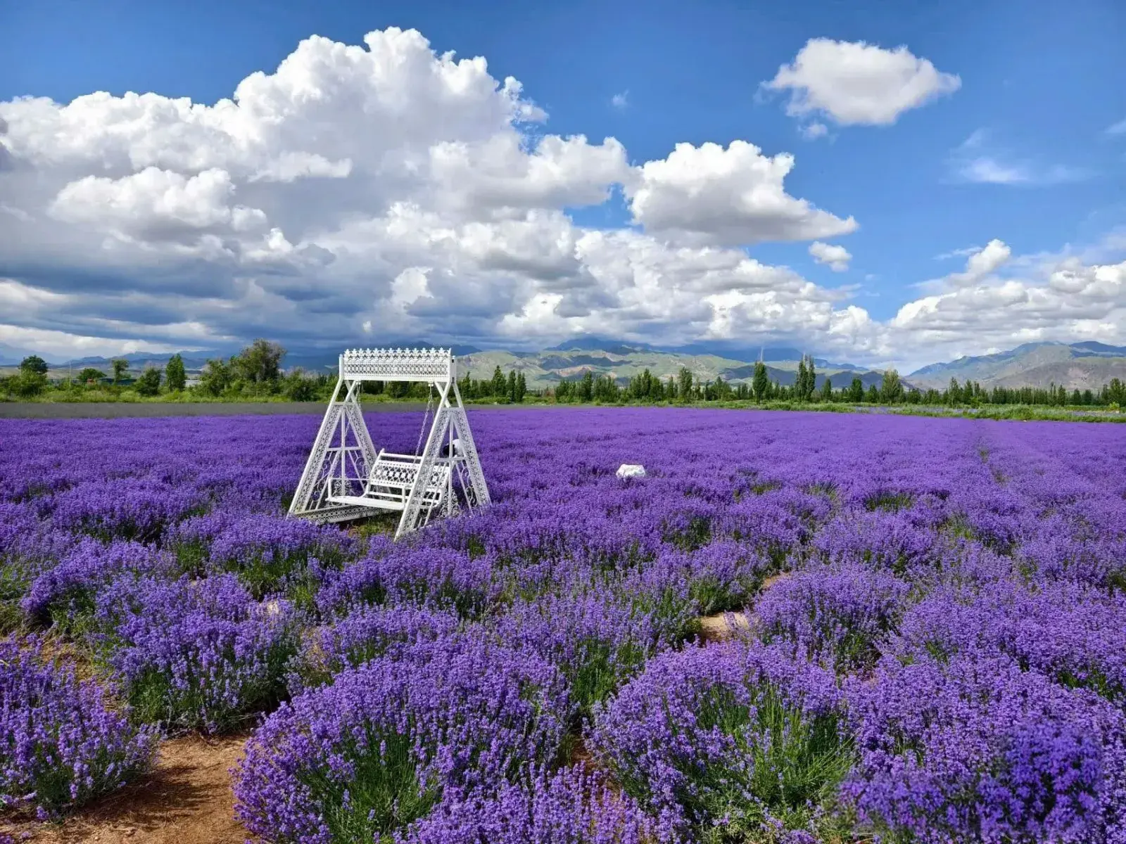 [TOUR NO SHOPPING] BẮC TÂN CƯƠNG 8 NGÀY 7 ĐÊM - ZH