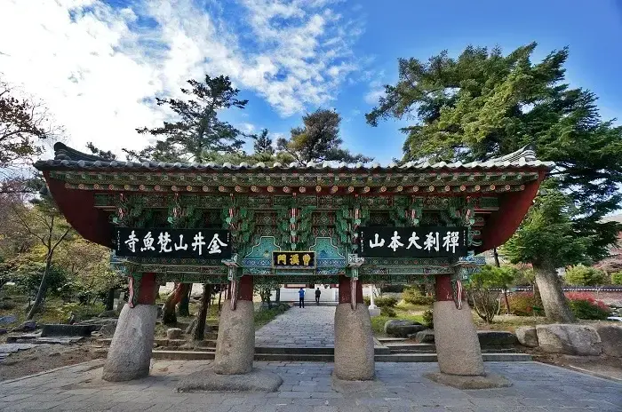 HÀ NỘI – BUSAN – TÀU VEN BIỂN– SEOUL – NAMI– TRƯỢT TUYẾT – HÁI DÂU