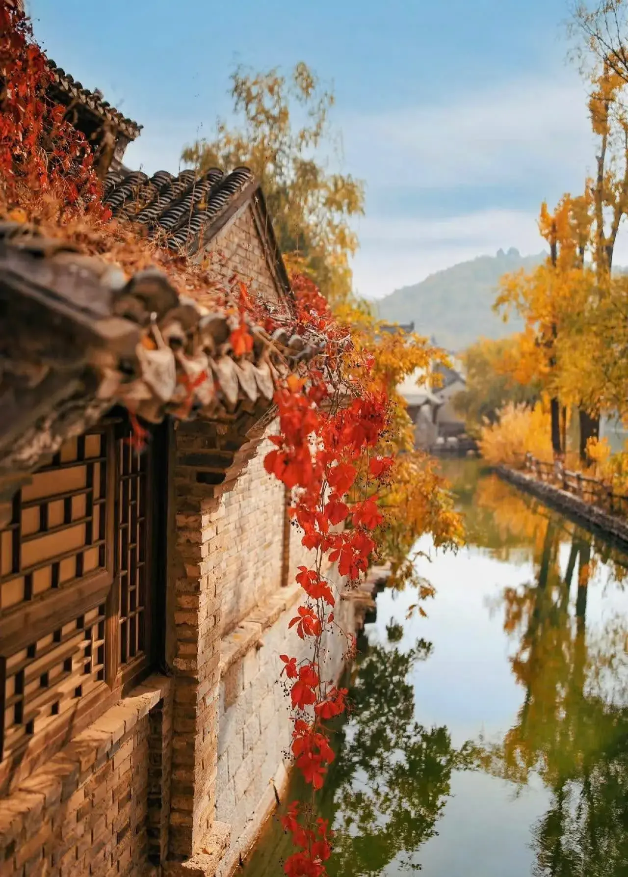 co-tran-thuy-bac-mua-thu-5