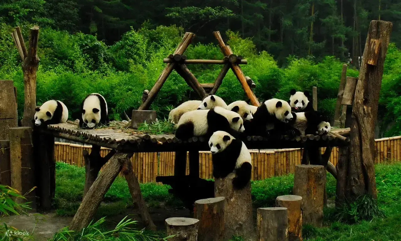 HÀ NỘI - THÀNH ĐÔ - CỬU TRẠI CÂU - TRẢI NGHIỆM TRƯỢT TUYẾT GIA CÔ SƠN - CÔNG VIÊN GẤU TRÚC 6 NGÀY 5 ĐÊM
