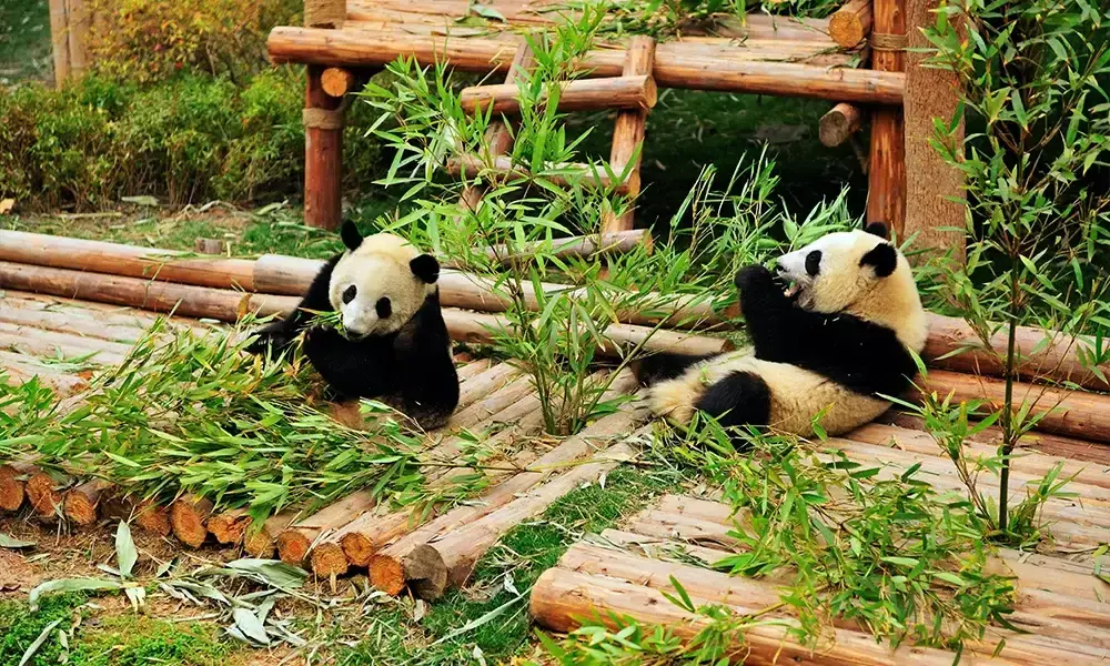 [TOUR NO SHOPPING] HÀ NỘI – THÀNH ĐÔ - CỬU TRẠI CÂU – LẠC SƠN ĐẠI PHẬT 6 NGÀY 5 ĐÊM
