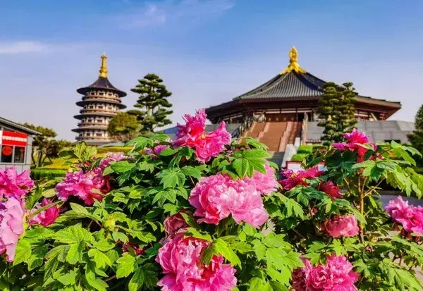 cong-vien-hoa-mau-don-lac-duong