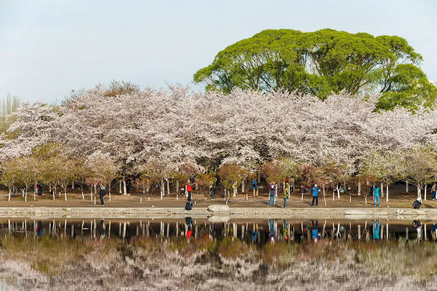 BẮC KINH MONO - UNG HOÀ CUNG 5 NGÀY 4 ĐÊM - VJ
