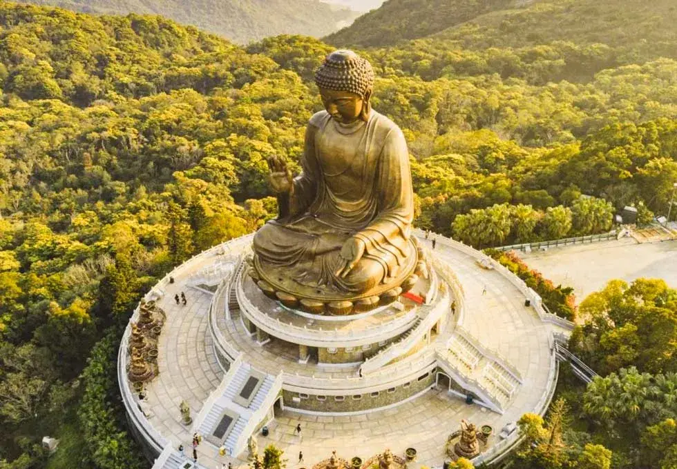 dai-nhi-son-hong-kong