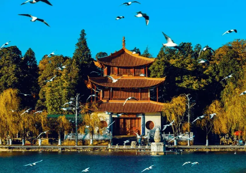 dai-quan-lau-con-minh