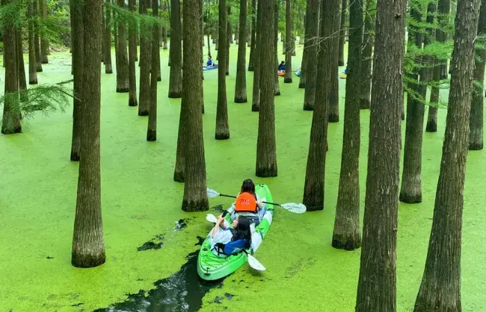 THƯỢNG HẢI – TÔ CHÂU – HÀNG CHÂU – BỘC VIỆN 5 NGÀY 4 ĐÊM - VNA