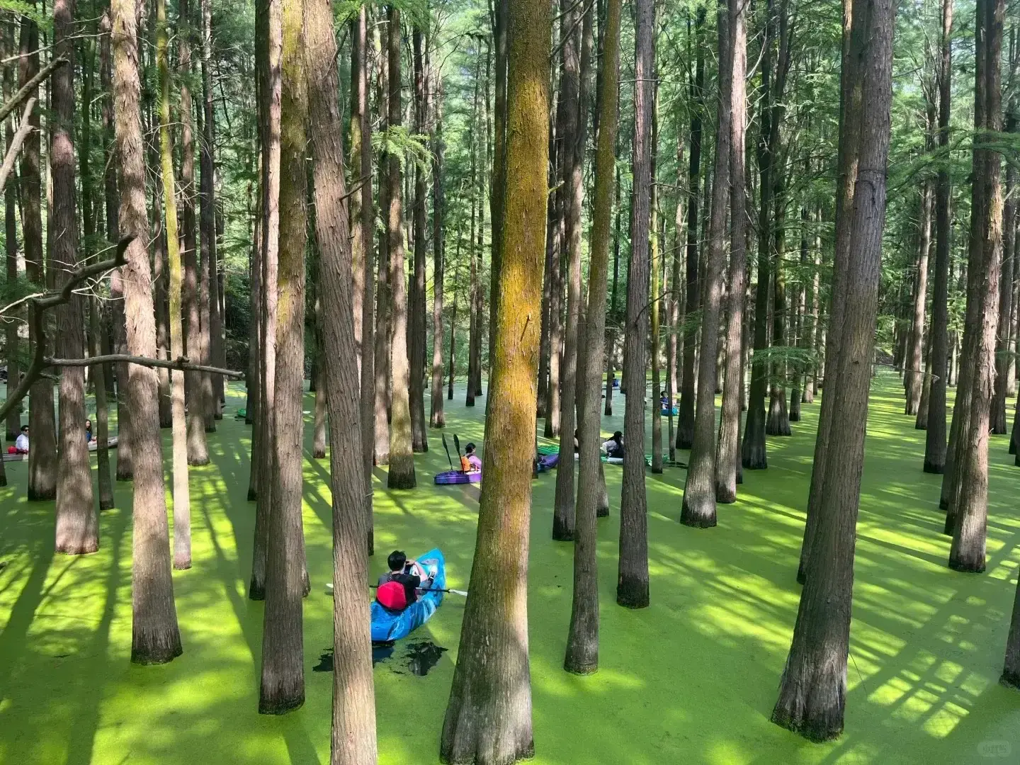 THƯỢNG HẢI – TÔ CHÂU – HÀNG CHÂU – BỘC VIỆN 5 NGÀY 4 ĐÊM - VNA