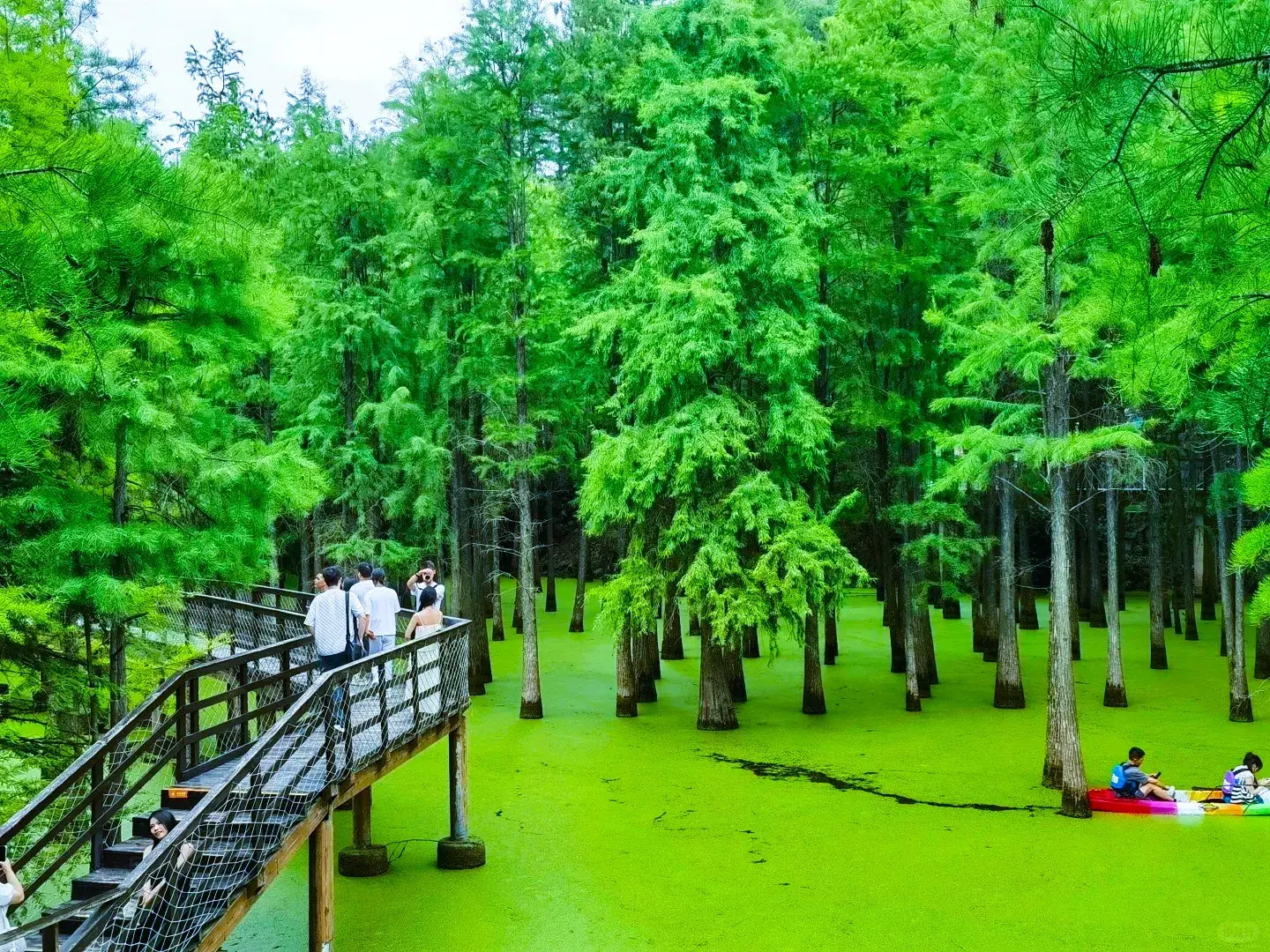 THƯỢNG HẢI – TÔ CHÂU – HÀNG CHÂU – BỘC VIỆN 5 NGÀY 4 ĐÊM - VNA