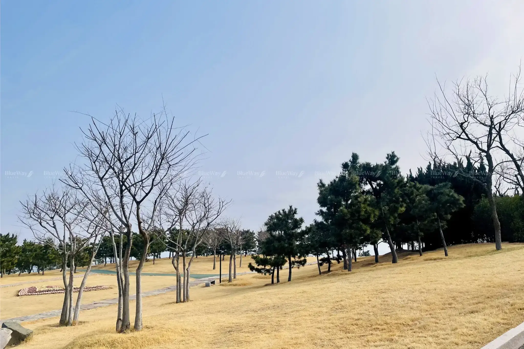 dao-tieu-mach-thanh-dao-11