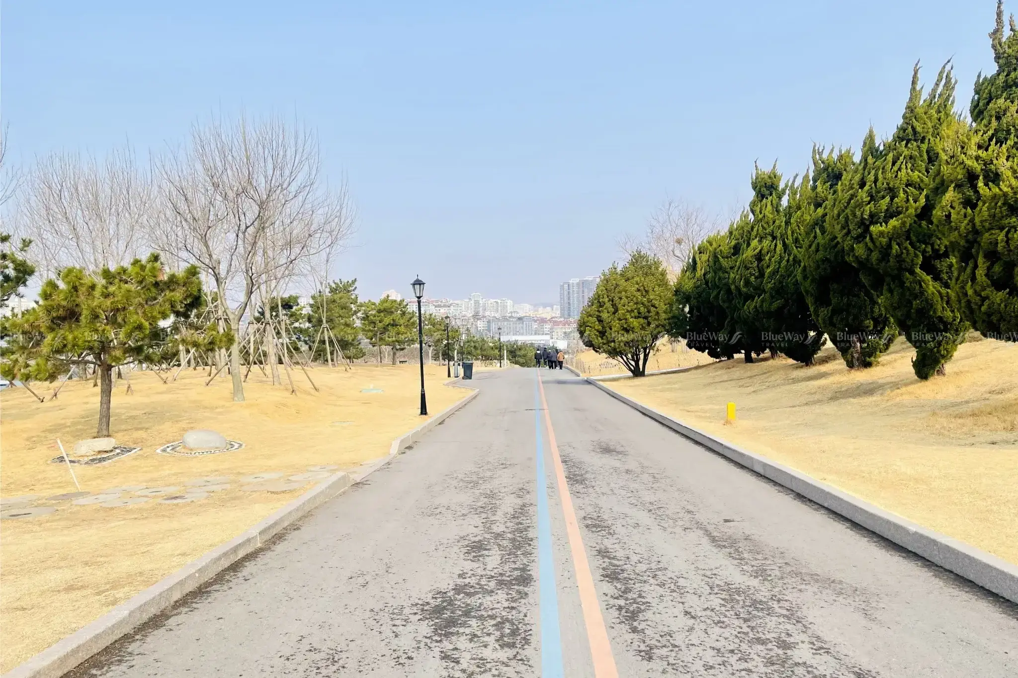 dao-tieu-mach-thanh-dao-15