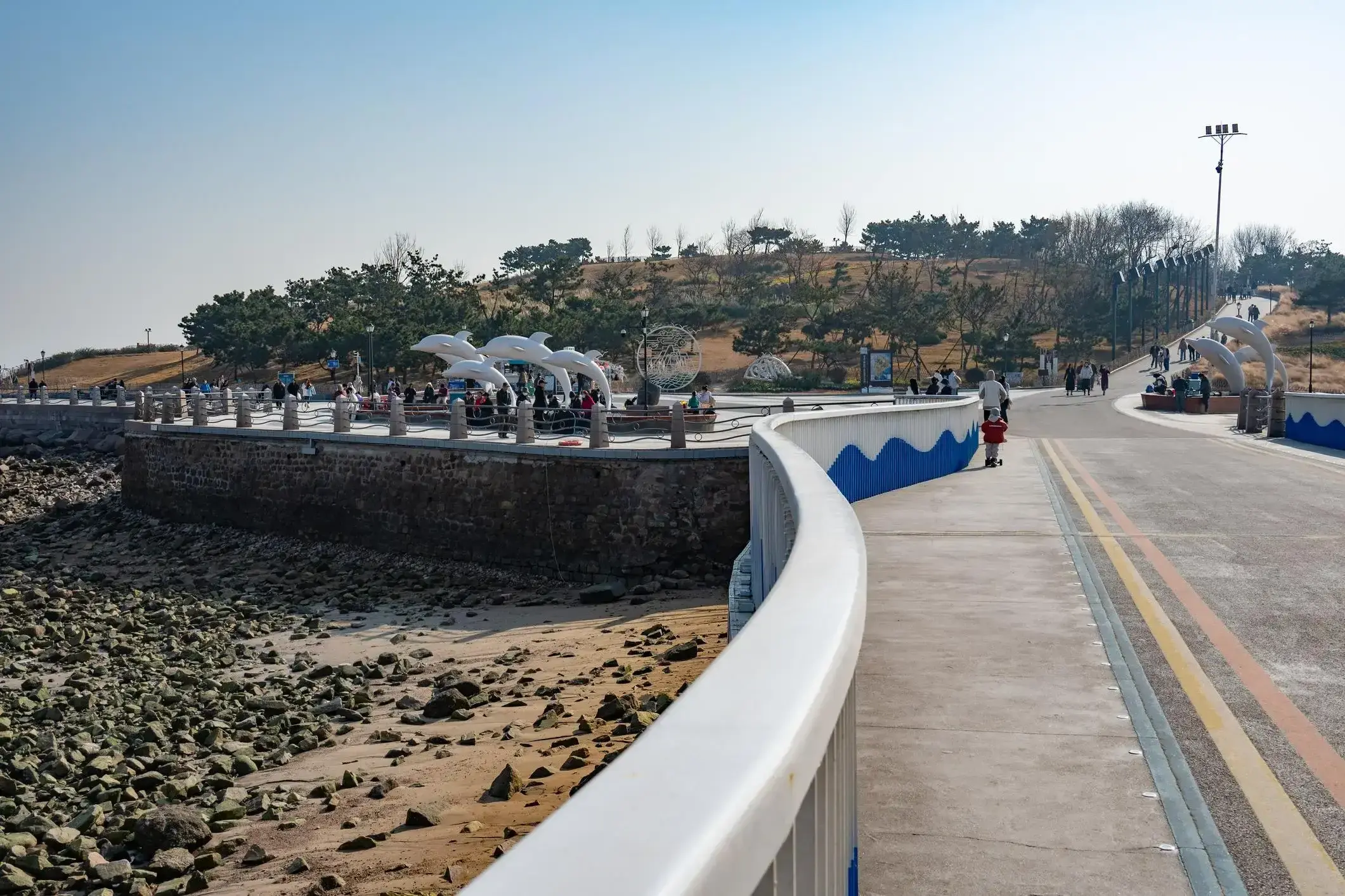 dao-tieu-mach-thanh-dao-19