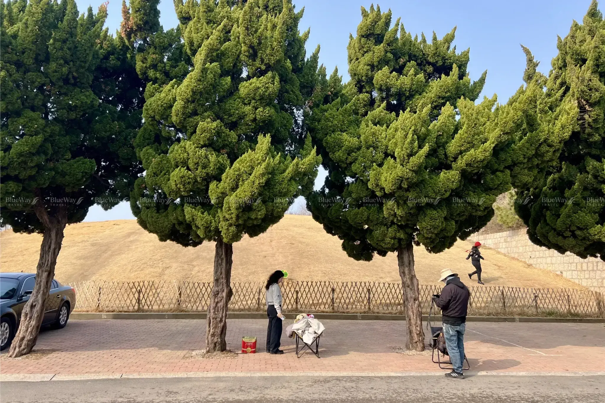 Đảo Tiểu Mạch Thanh Đảo Có Gì? 10 Góc Check-in Đẹp Nhất & Kinh Nghiệm Đi Chi Tiết