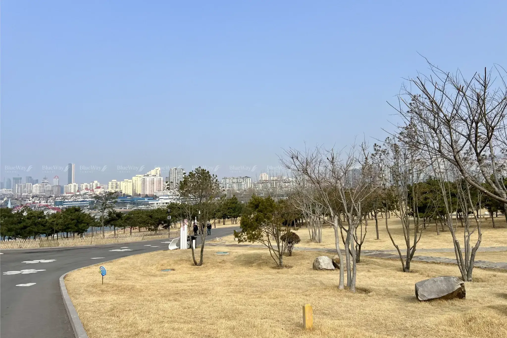 dao-tieu-mach-thanh-dao-5