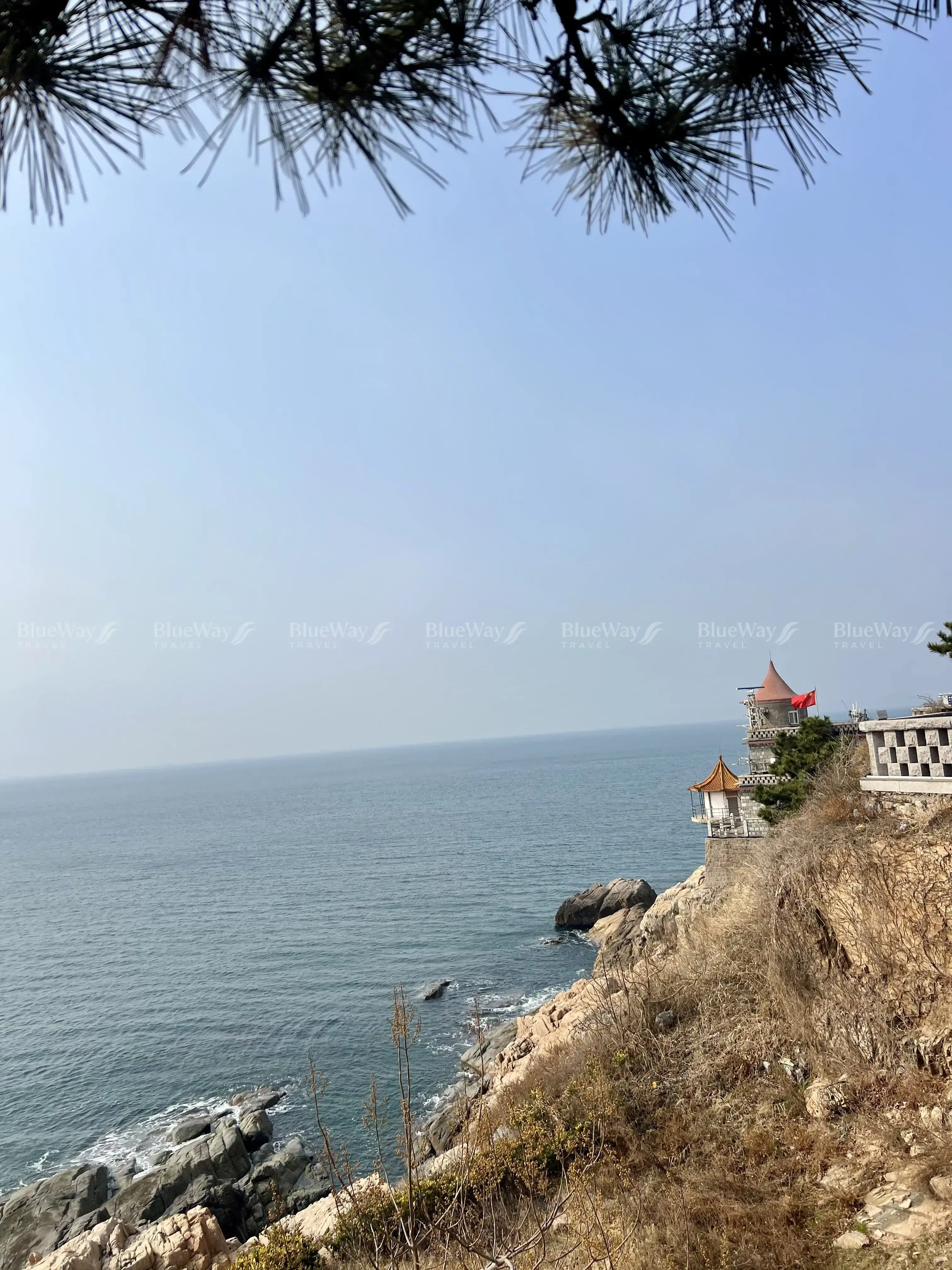 dao-tieu-mach-thanh-dao-8