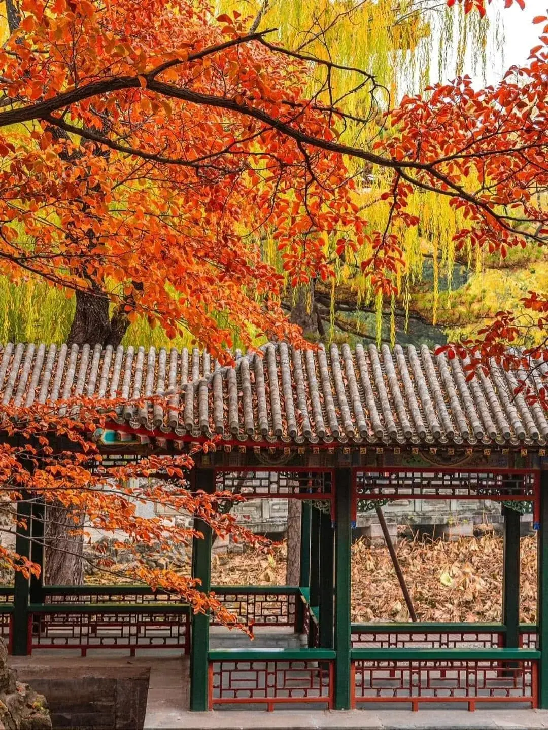 di-hoa-vien-bac-kinh-mua-thu
