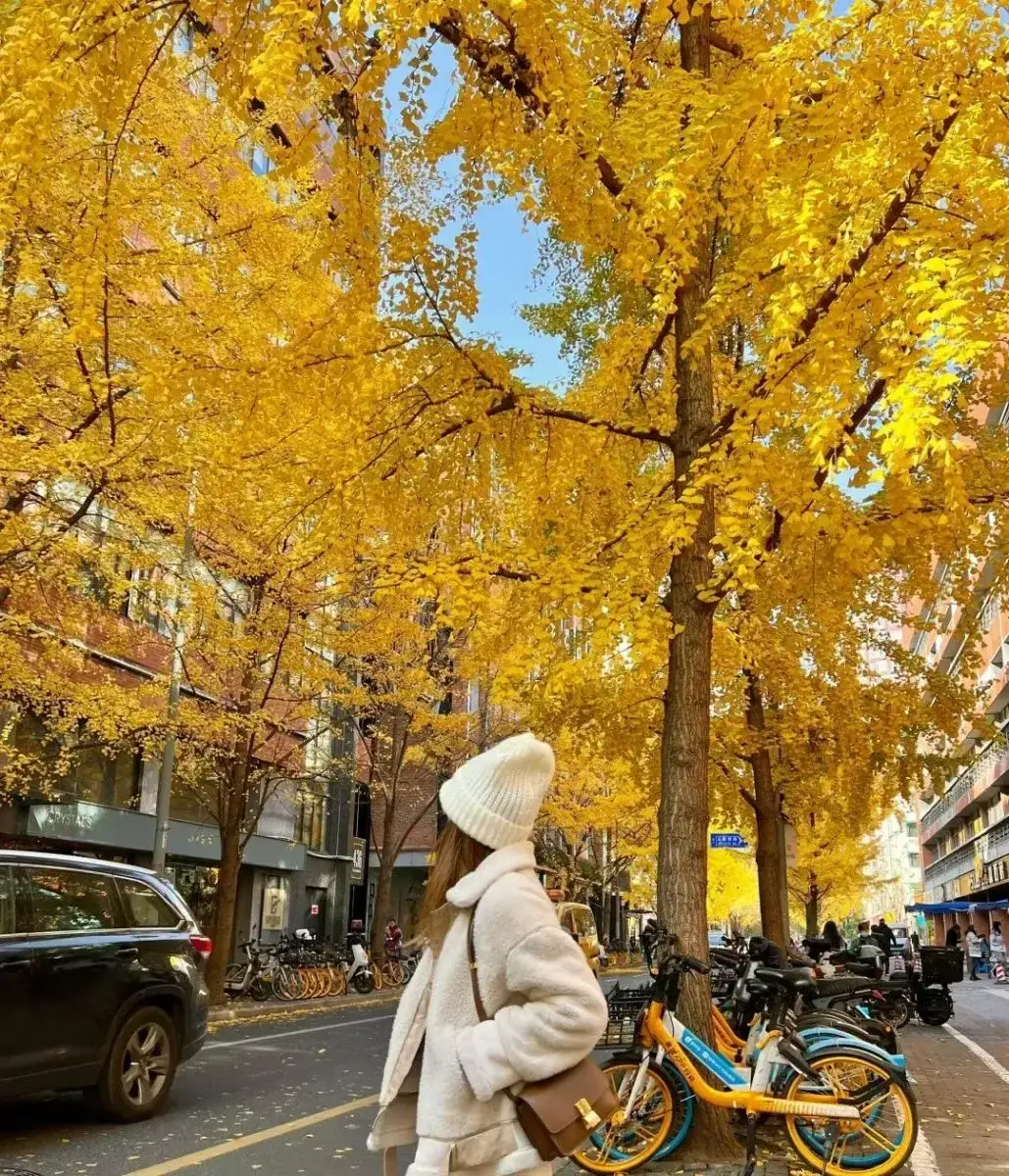 [TOUR NO SHOPPING] THƯỢNG HẢI - HÀNG CHÂU – Ô TRẤN 5 NGÀY 4 ĐÊM