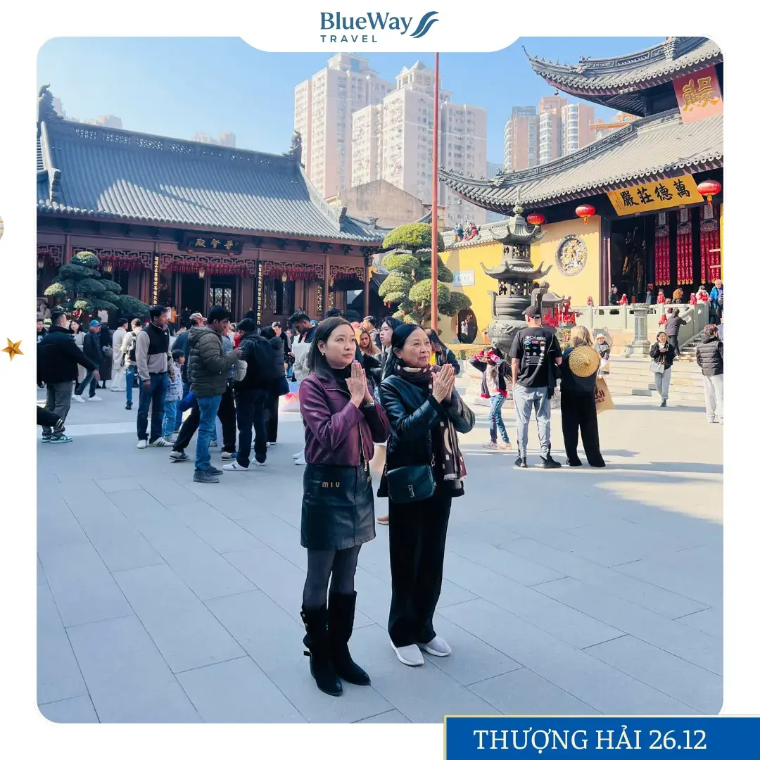 feedback-blueway-travel-14