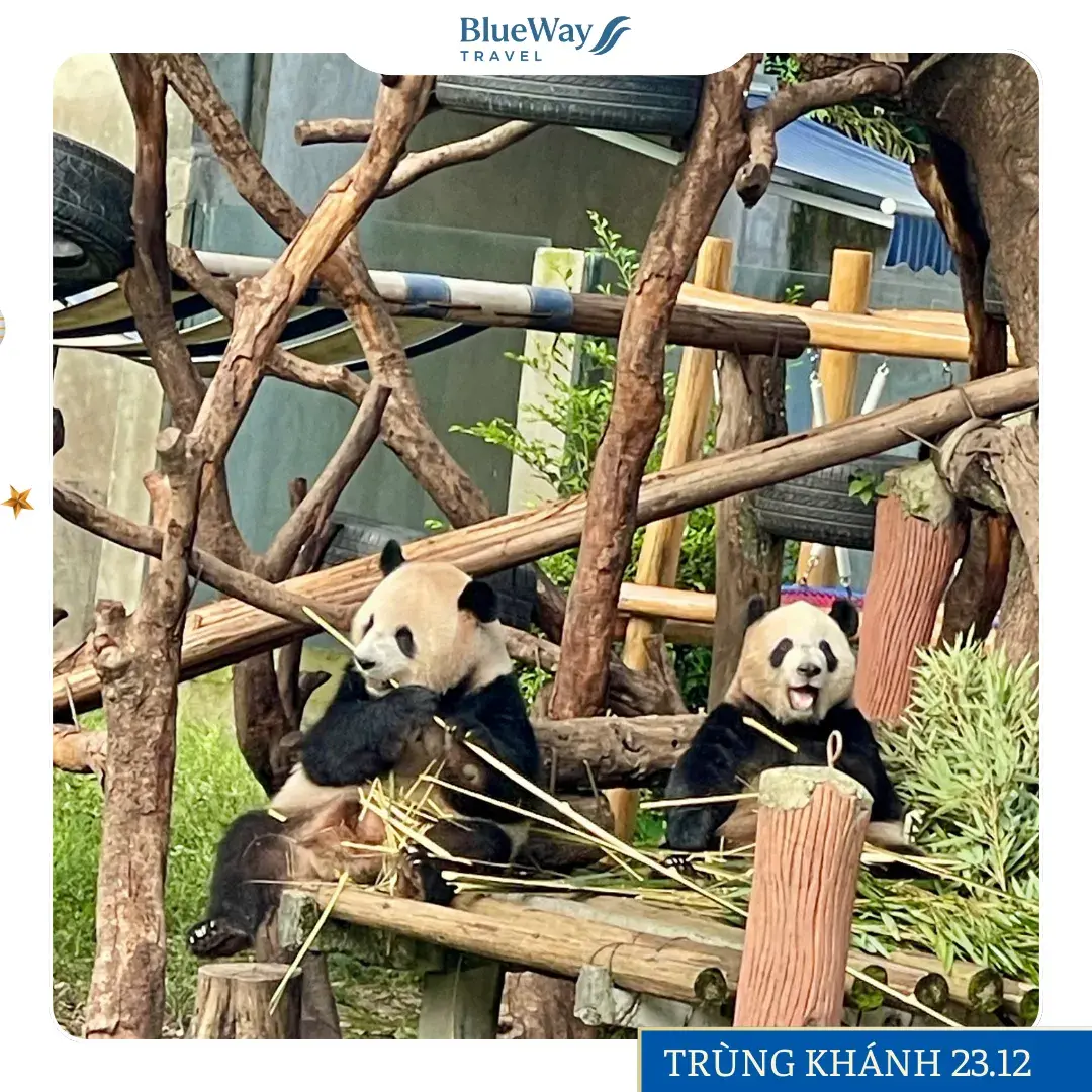 feedback-trung-khanh-blueway-travel-1