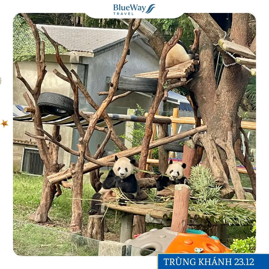 feedback-trung-khanh-blueway-travel-2