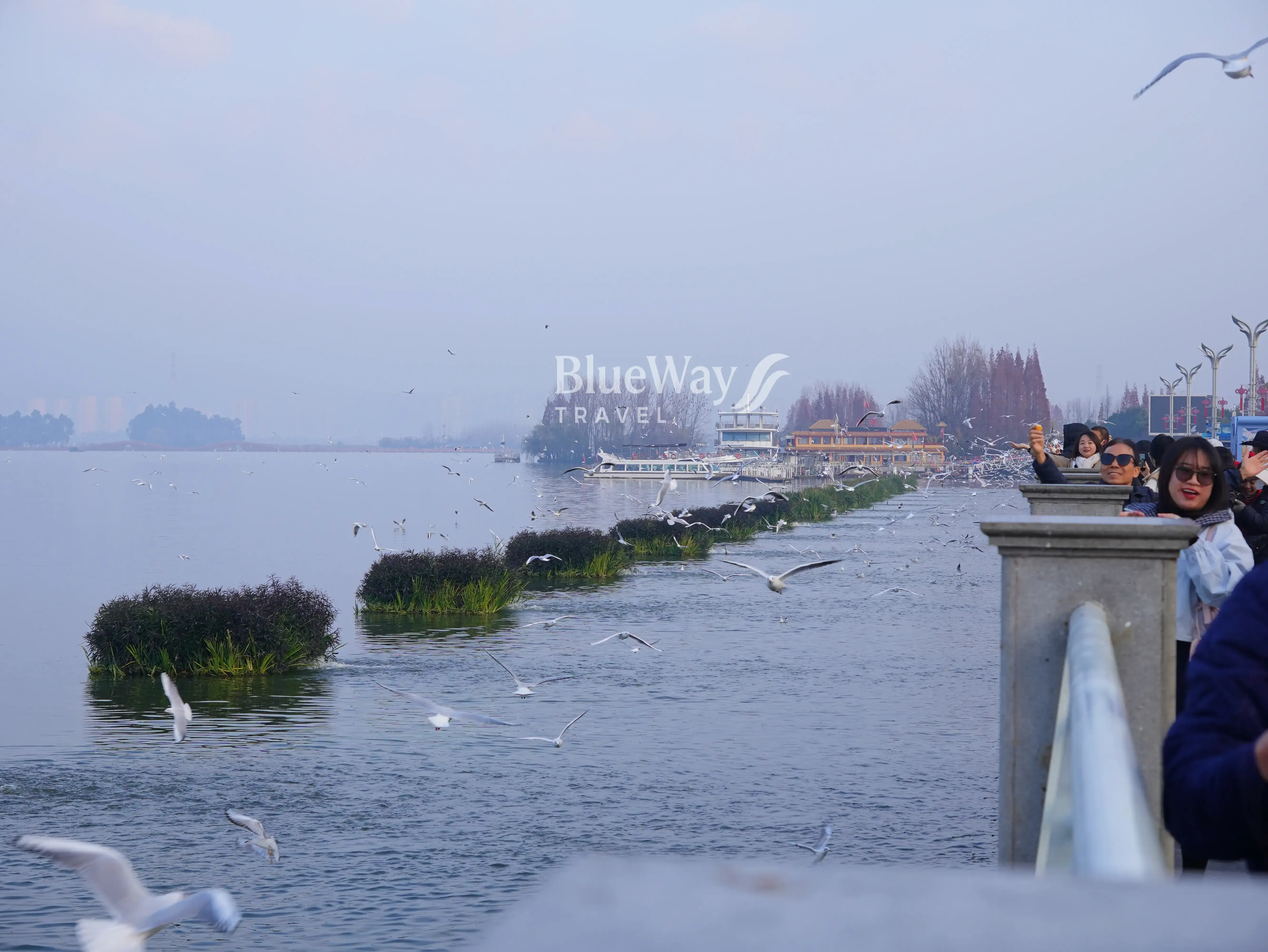 ho-dien-tri-con-minh-2