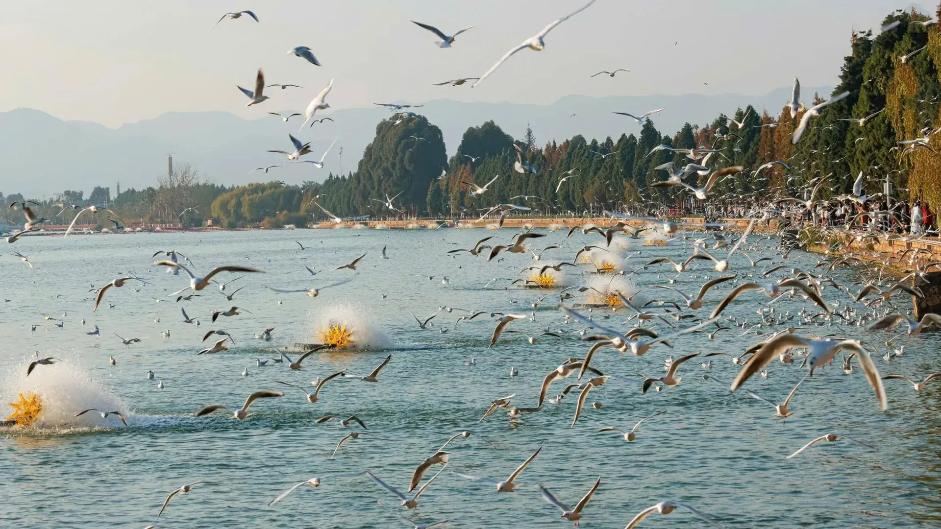 ho-dien-tri-con-minh-3