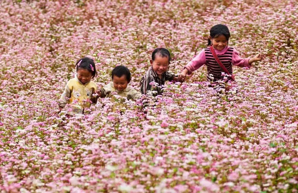 TOUR HÀ GIANG - SÔNG NHO QUẾ HÙNG VĨ 3 NGÀY 2 ĐÊM TỪ HÀ NỘI