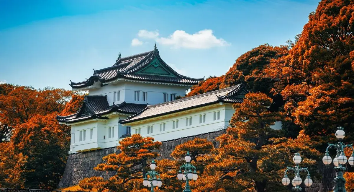 [TOUR NO SHOPPING] TOKYO – PHÚ SĨ – KYOTO – OSAKA 6 NGÀY 5 ĐÊM