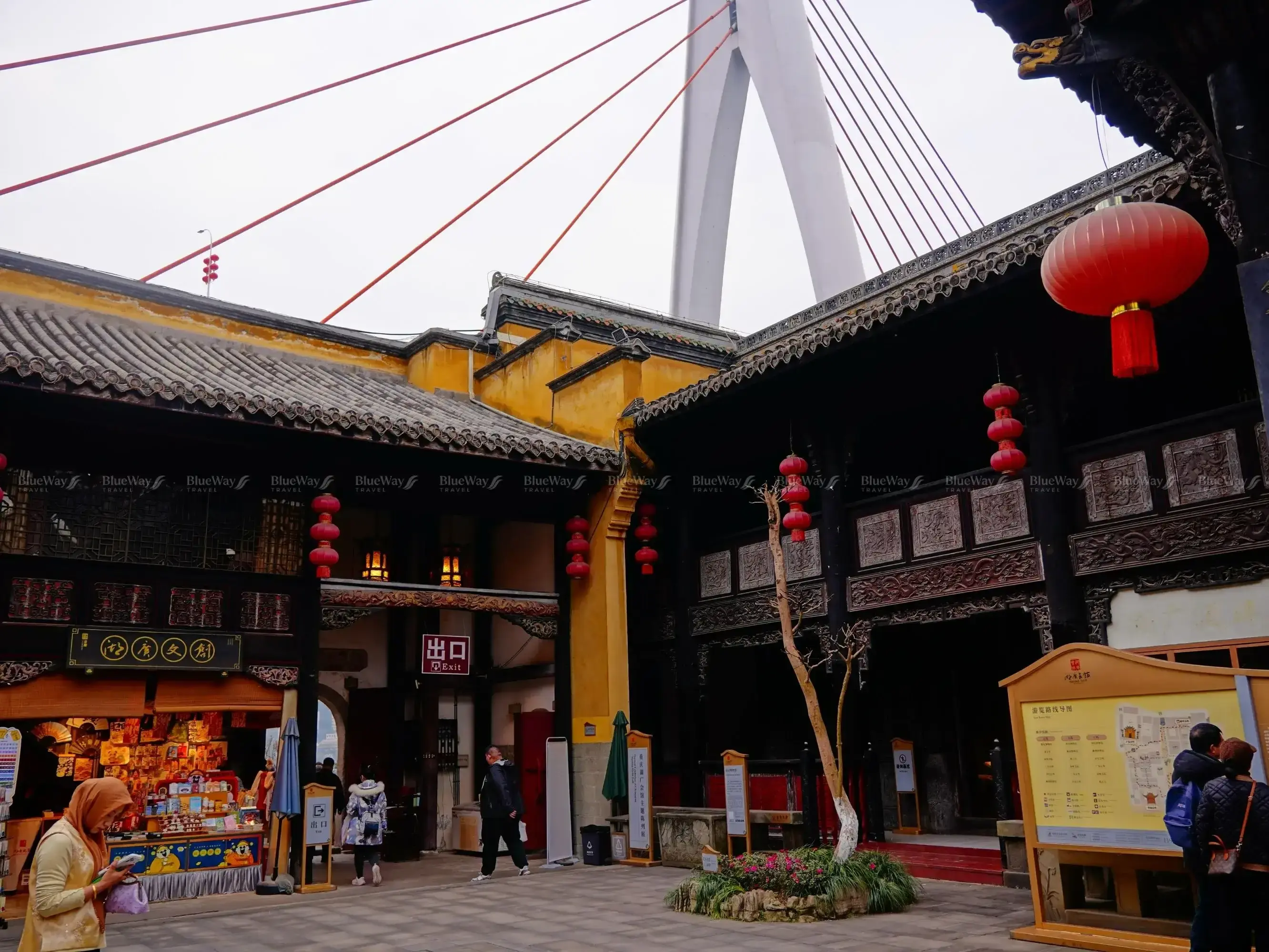 hoi-quan-ho-quang-113