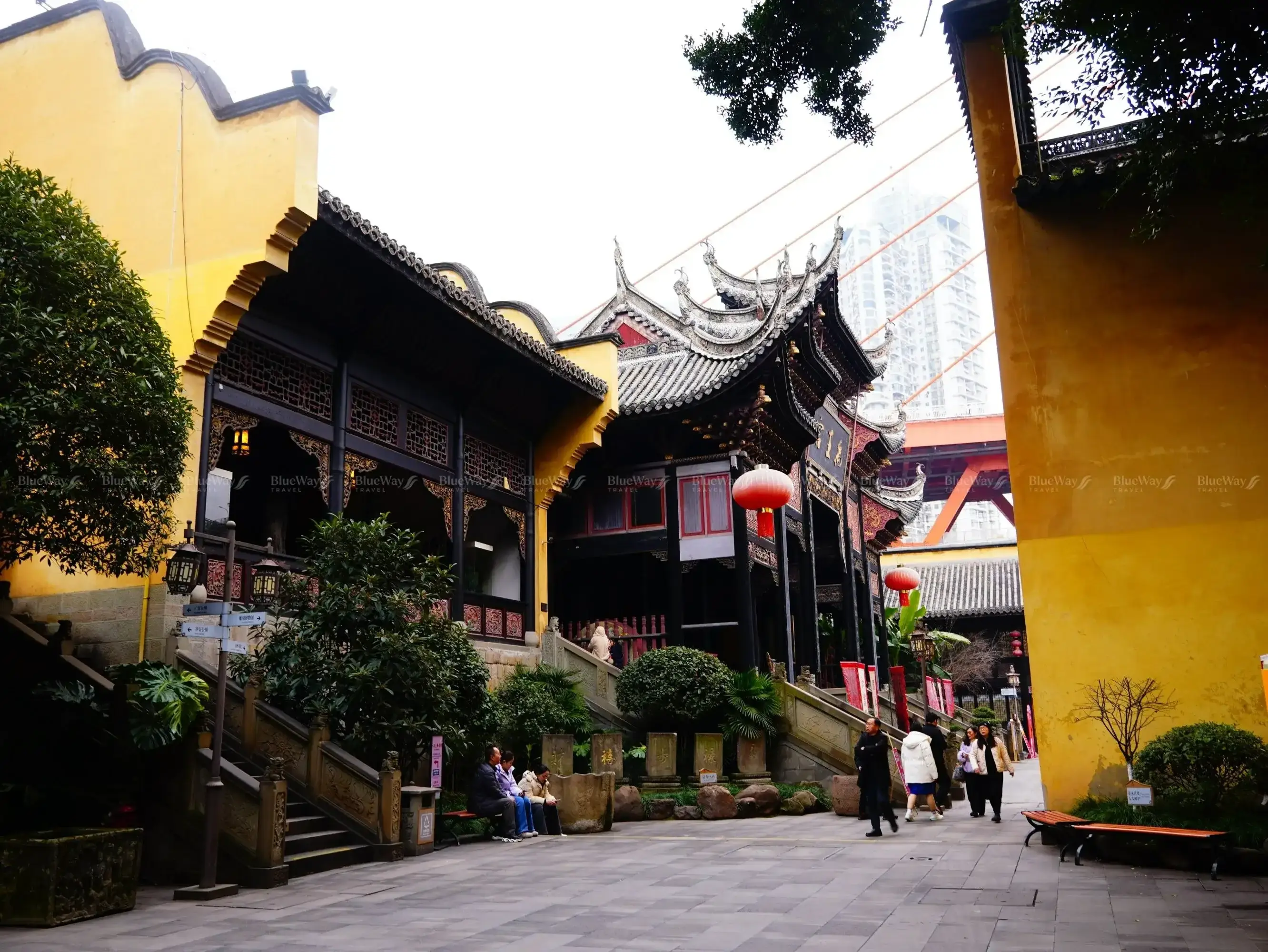 hoi-quan-ho-quang-115