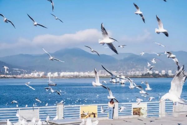 [TOUR NO SHOPPING] CÔN MINH HỒ ĐIỀN TRÌ - NÚI TUYẾT KIỆU TỬ SƠN 4 NGÀY 3 ĐÊM