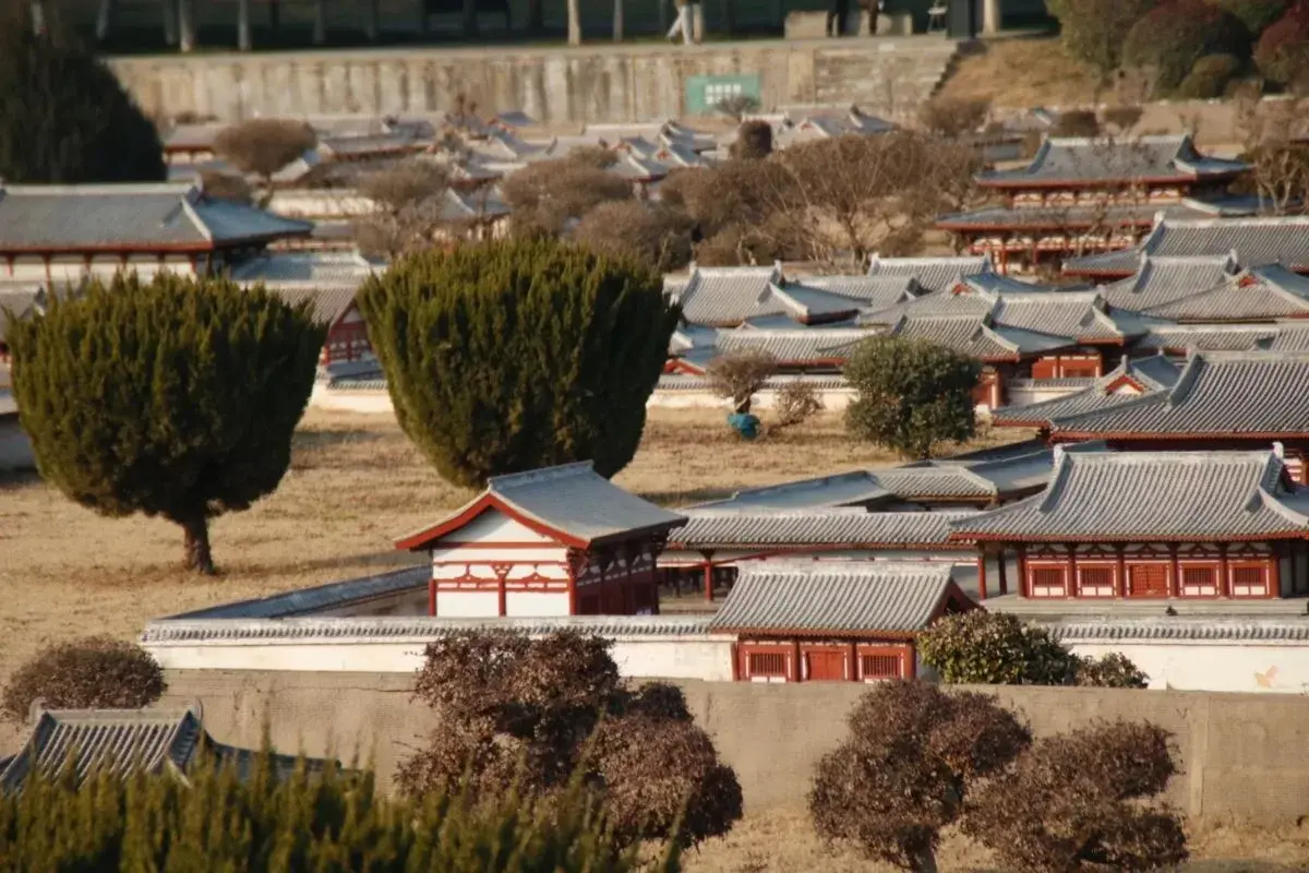 mo-hinh-phuc-dung-cung-Dai-Minh
