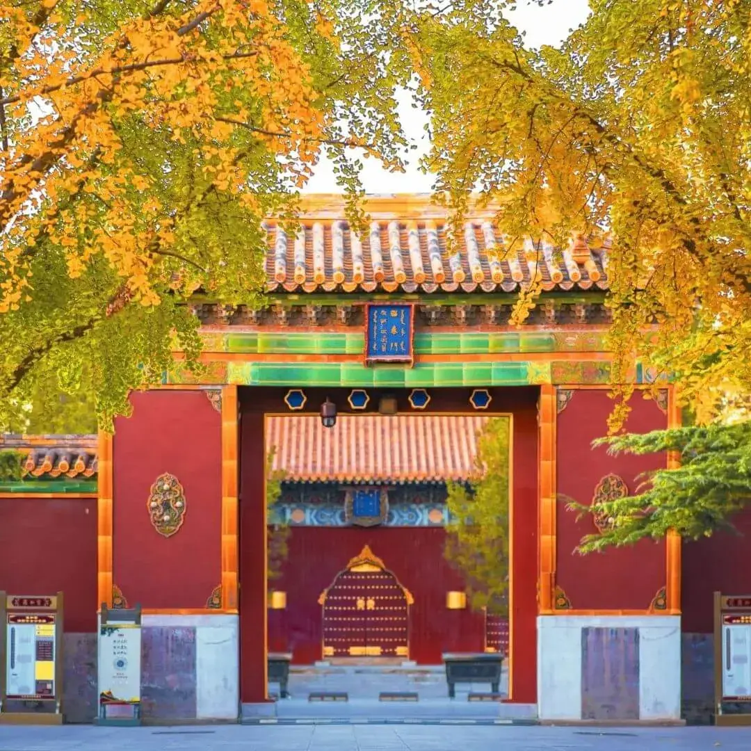 mua-thu-bac-kinh-4
