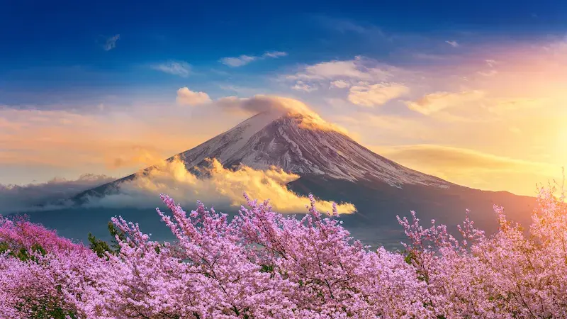 [TOUR NO SHOPPING] TOKYO – PHÚ SĨ – KYOTO – OSAKA 6 NGÀY 5 ĐÊM