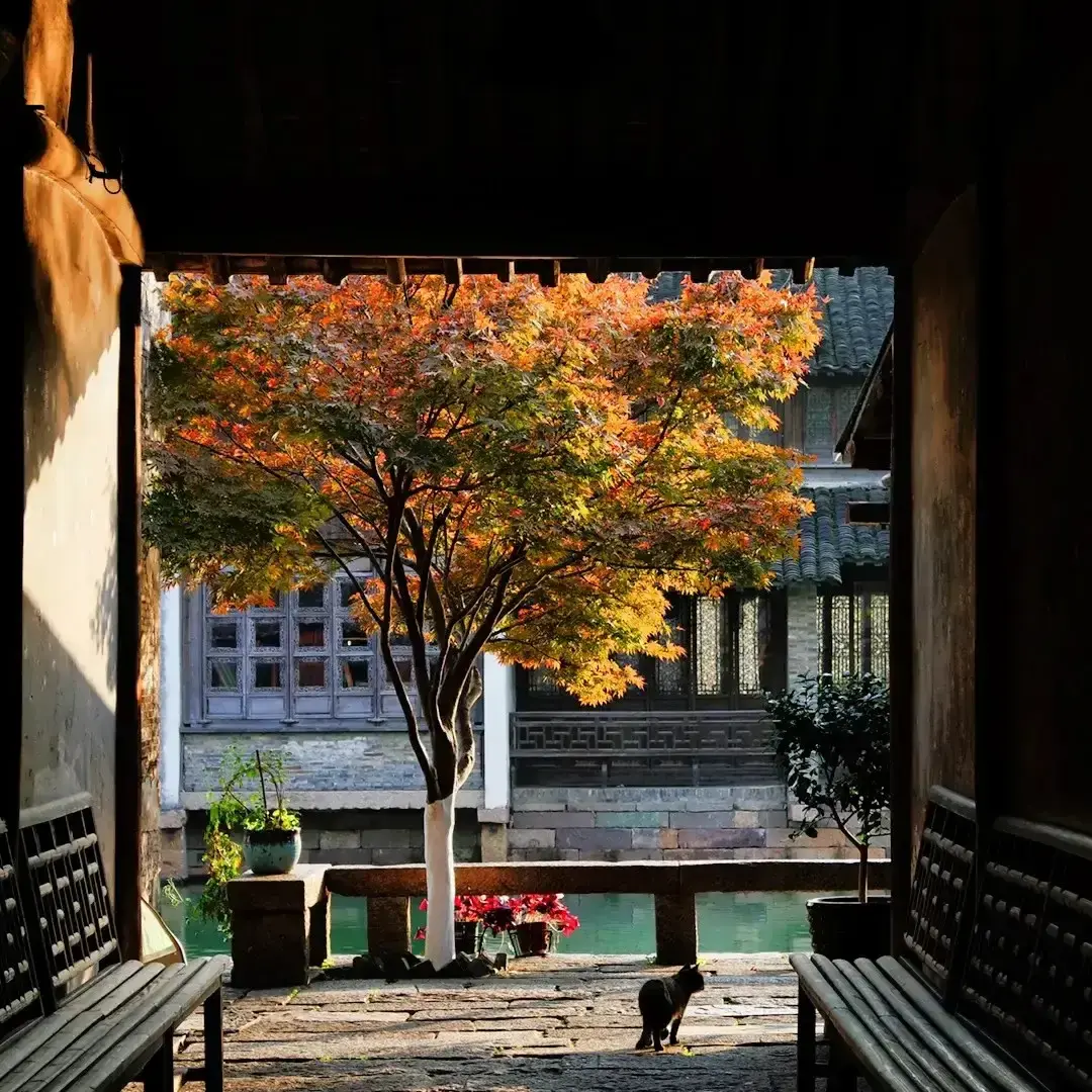 [TOUR NO SHOPPING] THƯỢNG HẢI - Ô TRẤN - HÀNG CHÂU 6 NGÀY 5 ĐÊM HO