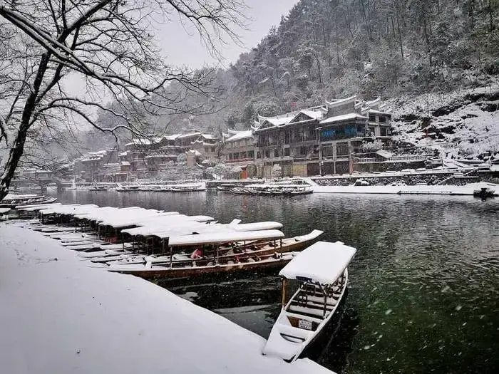 phuong-hoang-co-tran-mua-dong-1