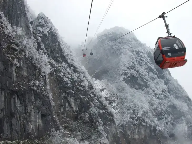 phuong-hoang-co-tran-mua-dong-3