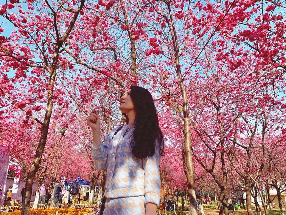 [TOUR NO SHOPPING] HÀ NỘI - CÔN MINH – RỪNG ĐÀO NGHI LƯƠNG - KIỆU TỬ SƠN 4 NGÀY 4 ĐÊM