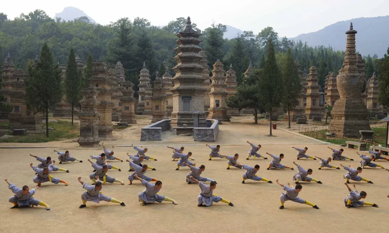 rung-thap-lam-thieu-lam-tu