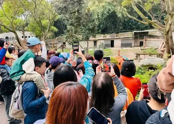 so-thu-trung-khanh-1