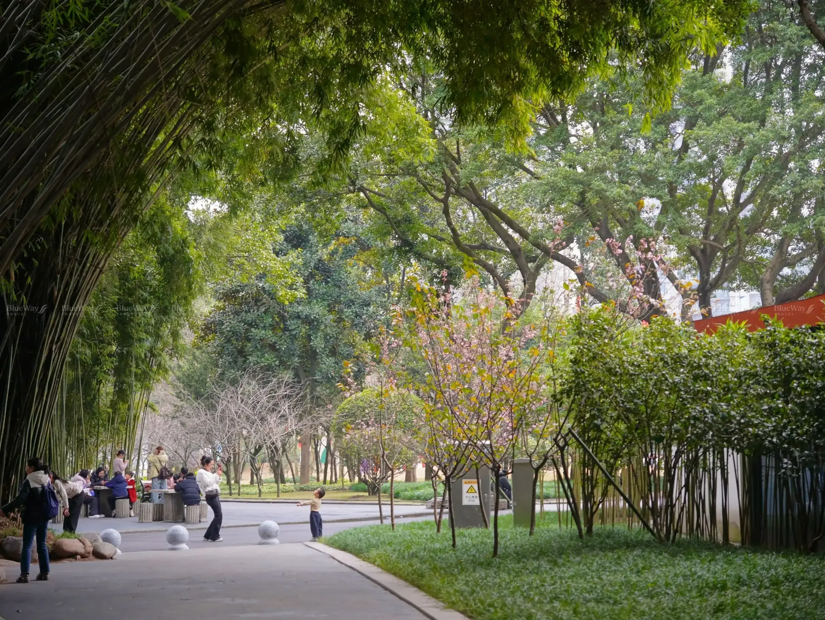 so-thu-trung-khanh-16