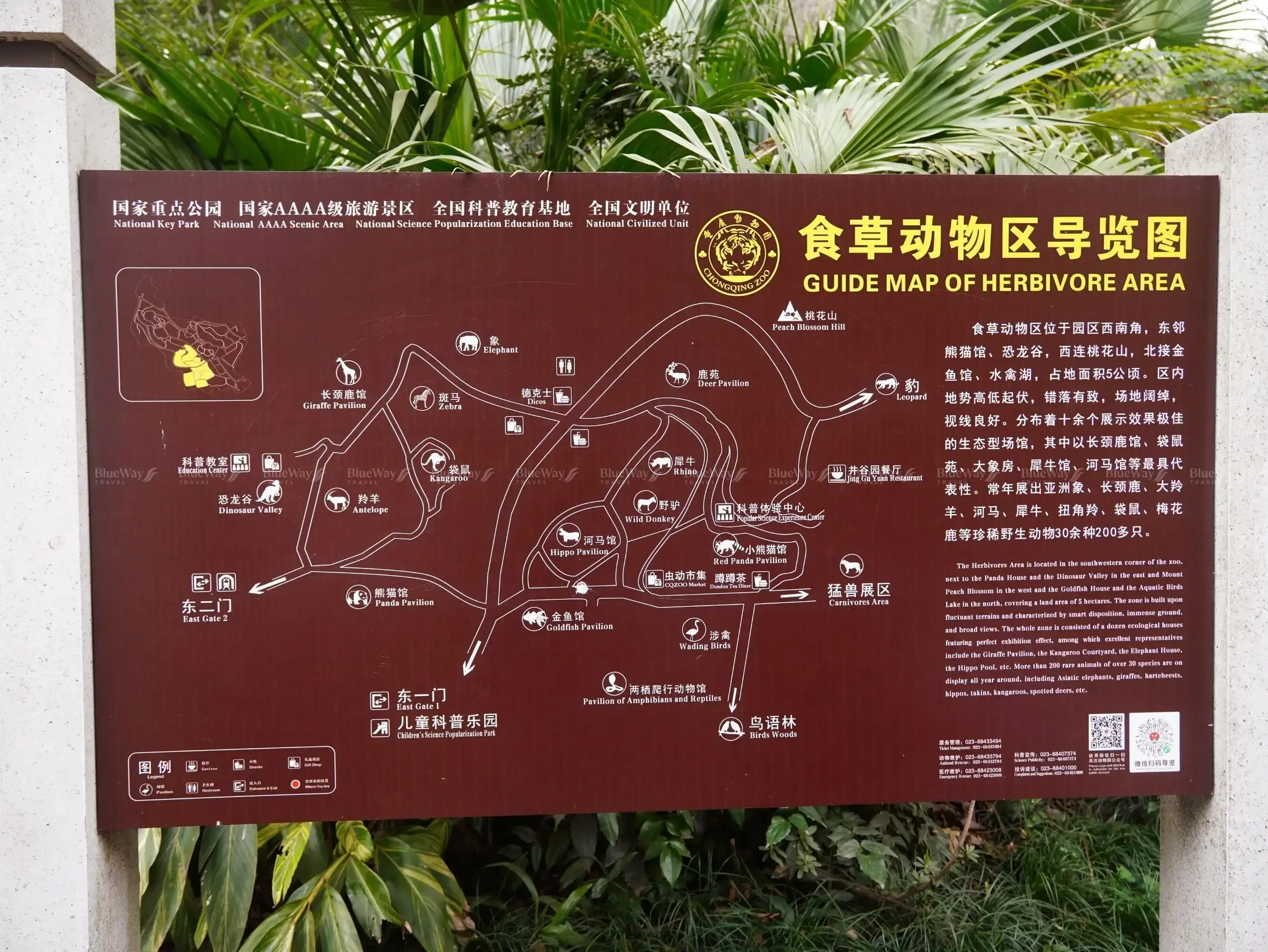 so-thu-trung-khanh-19