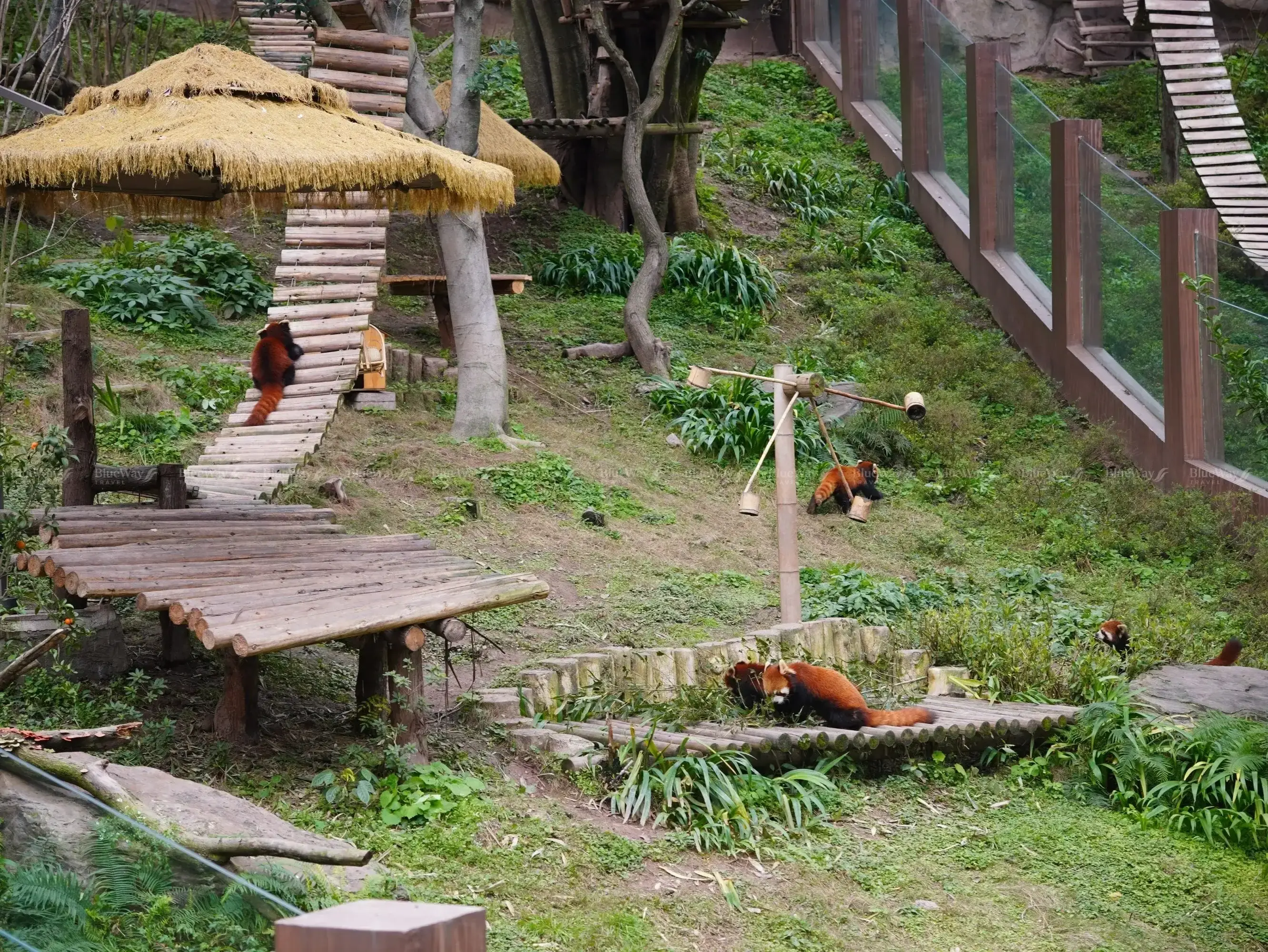 so-thu-trung-khanh-23