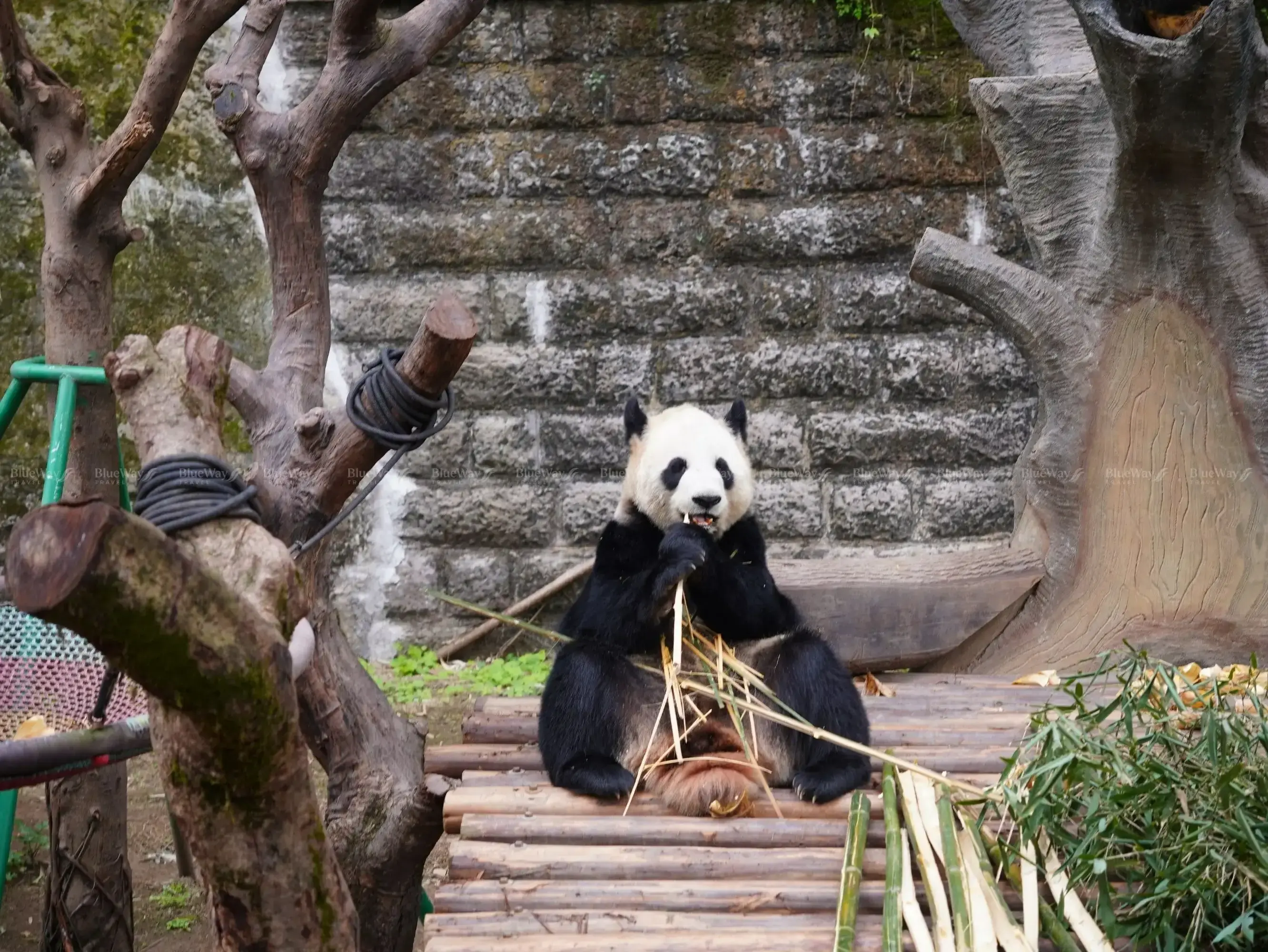 so-thu-trung-khanh-27