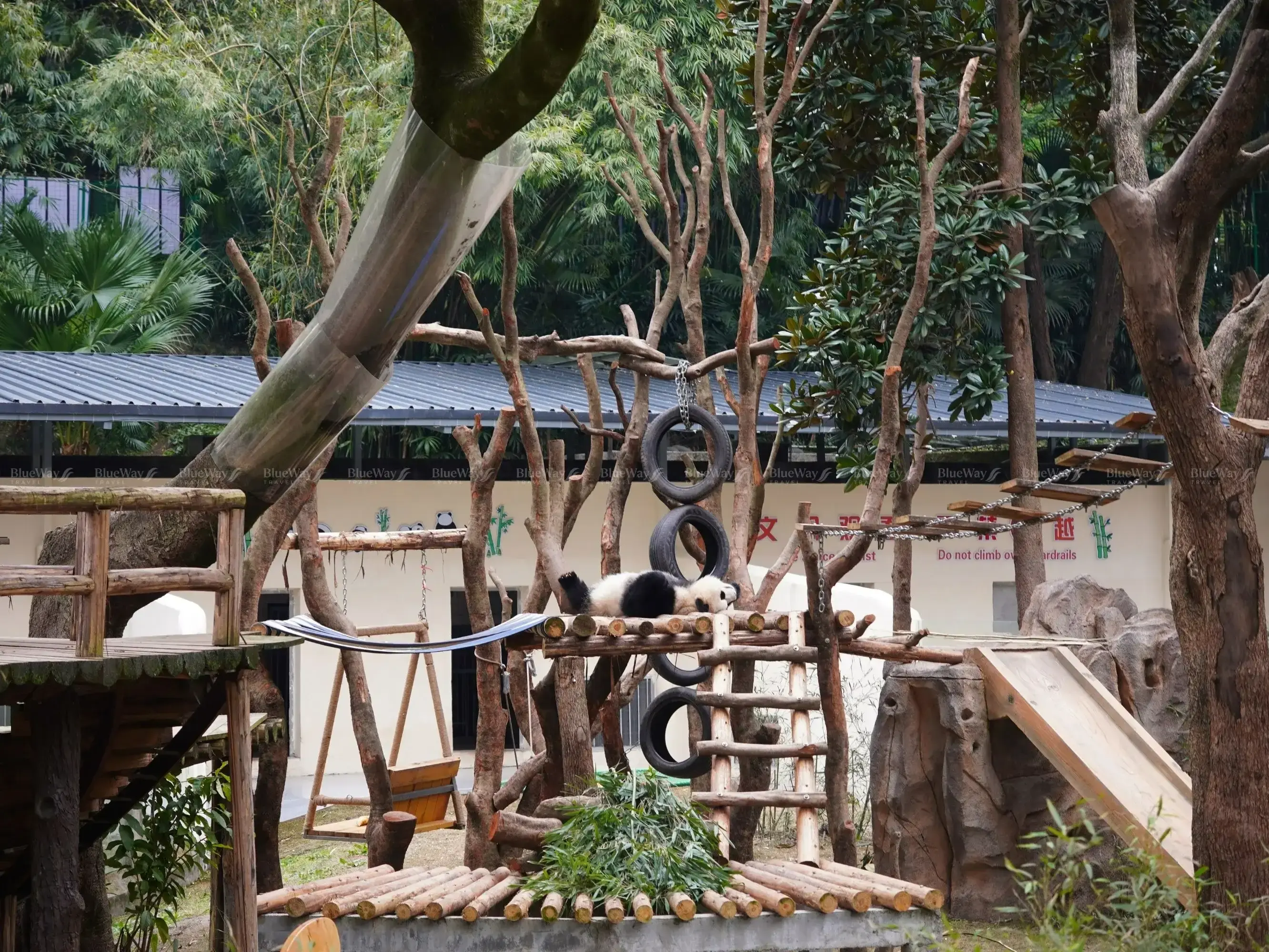 so-thu-trung-khanh-32