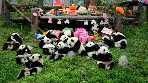 THÀNH ĐÔ - CỬU TRẠI CÂU - TRƯỢT TUYẾT GIA CÔ SƠN 6 NGÀY 5 ĐÊM EU