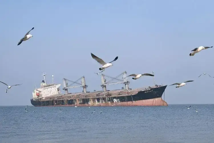 tau-blueways-uy-hai-18